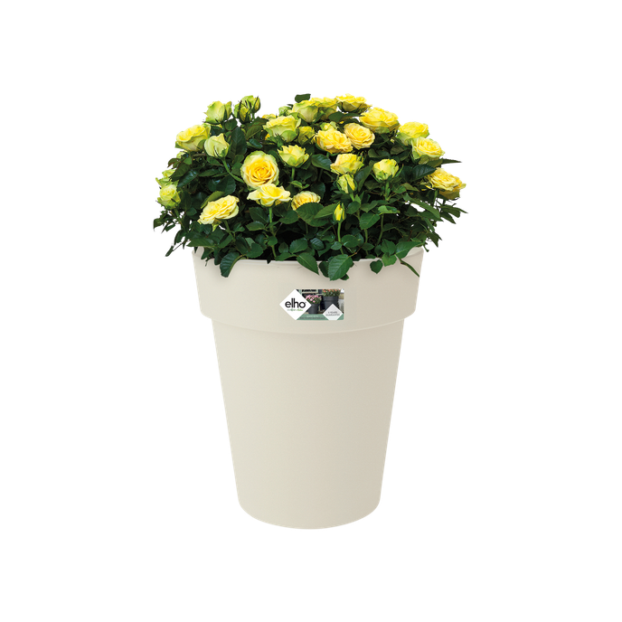 green basics top planter high 35cm cotton white